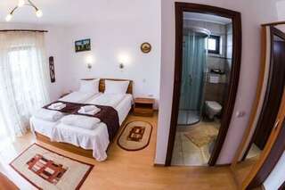 Проживание в семье Casa Ienciu Сибиу-0